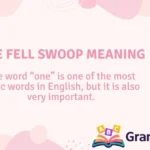 One Fell Swoop Meaning