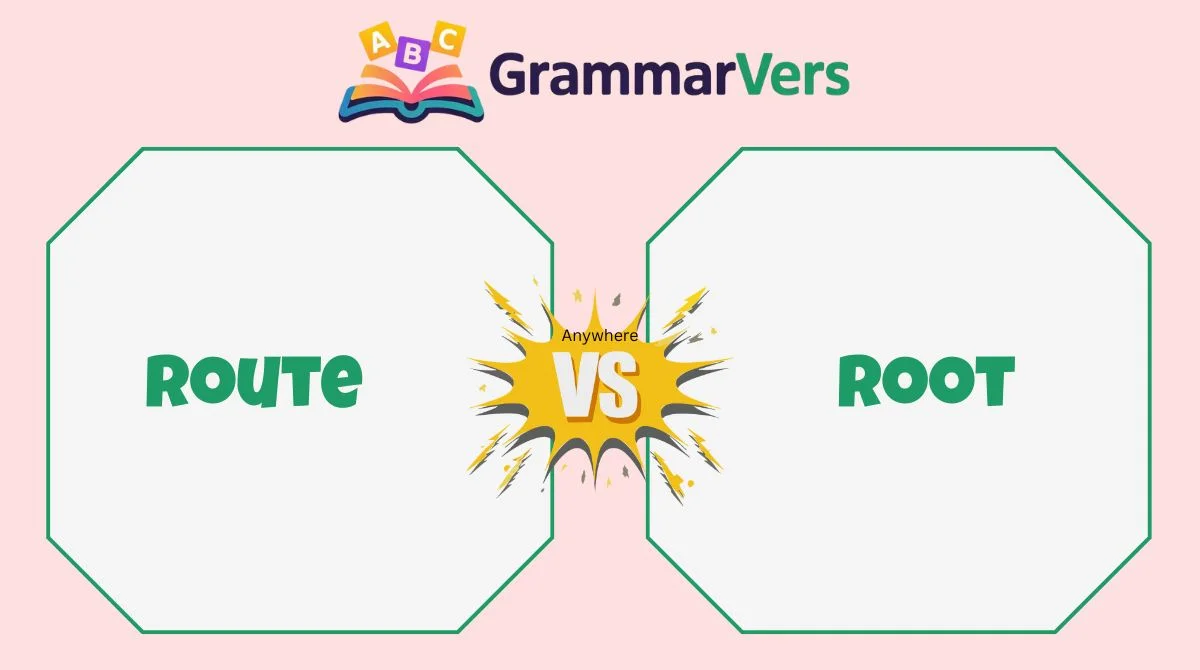 Root vs Route vs Rout