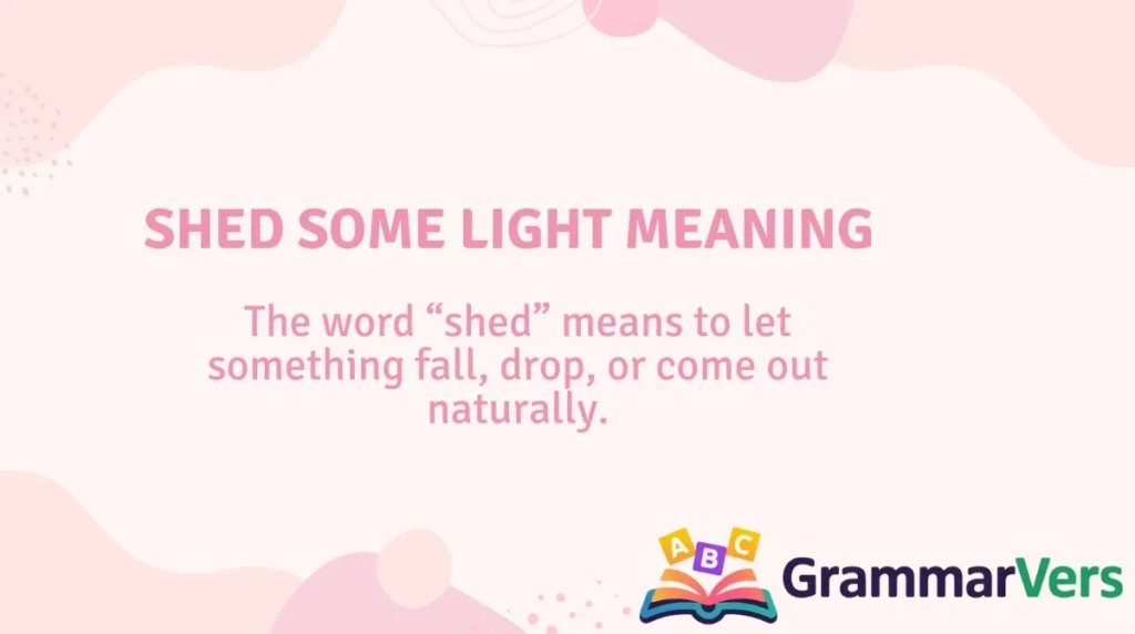 Shed Some Light Meaning