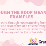 Through the Roof Meaning Examples