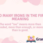 Too Many Irons in the Fire Meaning