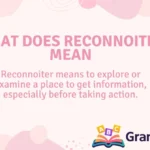 What Does Reconnoiter Mean